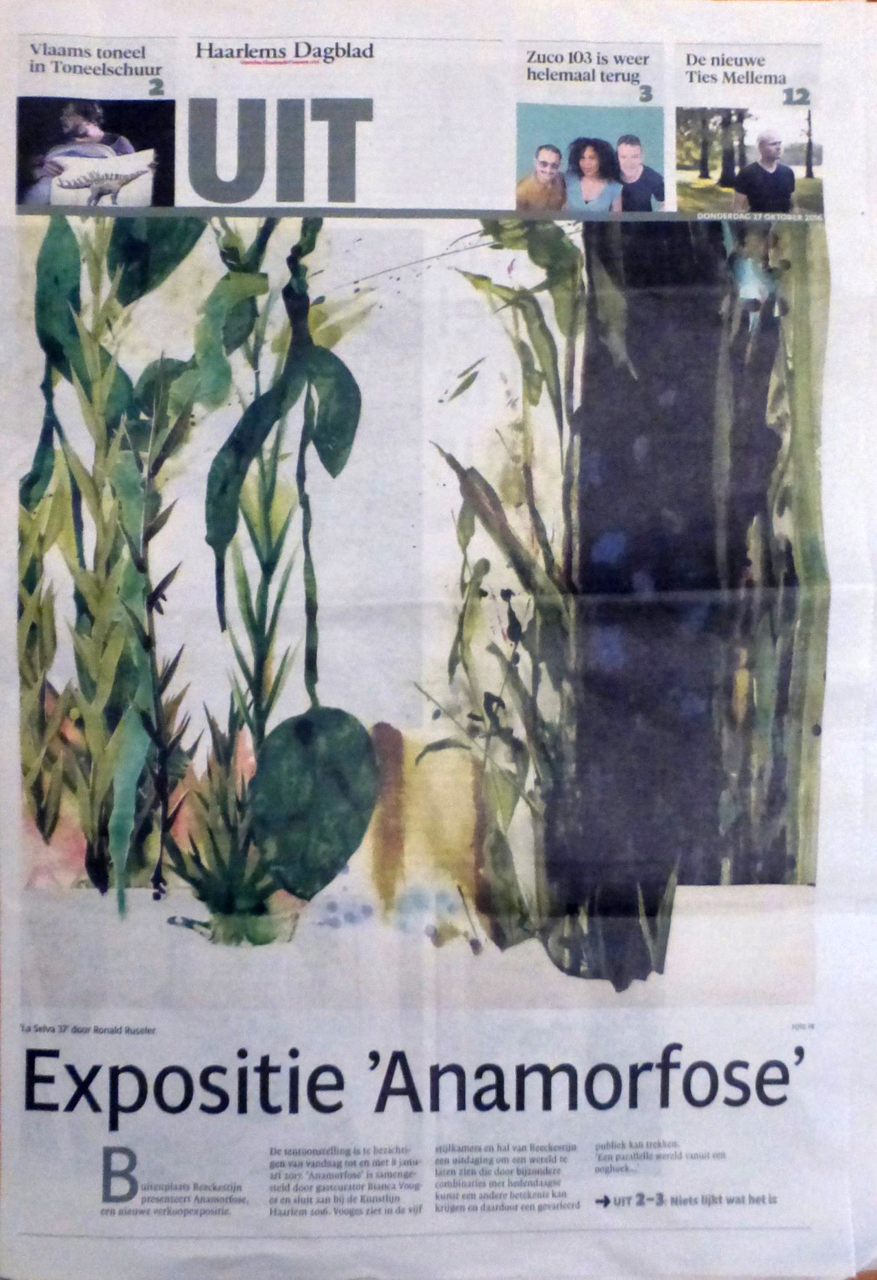 anamorfose-hdkopie